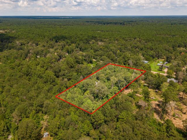 Land for sale in Shepherd, Texas