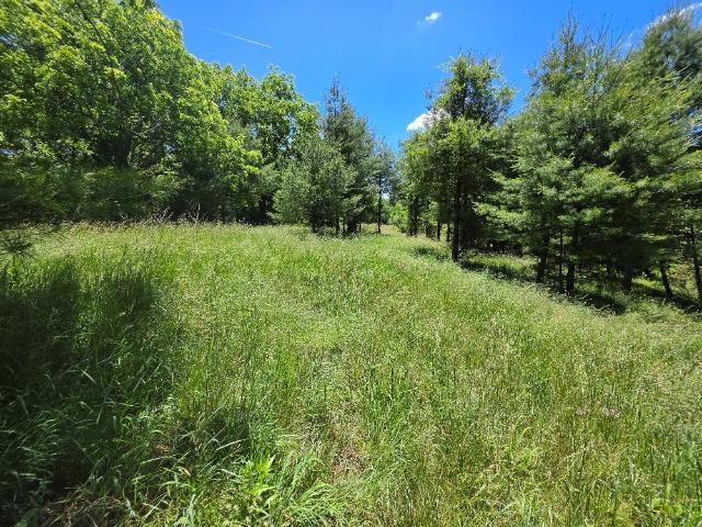 Land for sale in Virginia