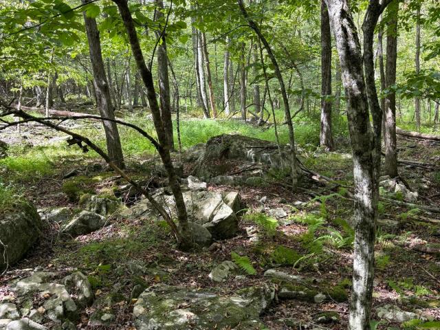 Land for sale in Accord, New York