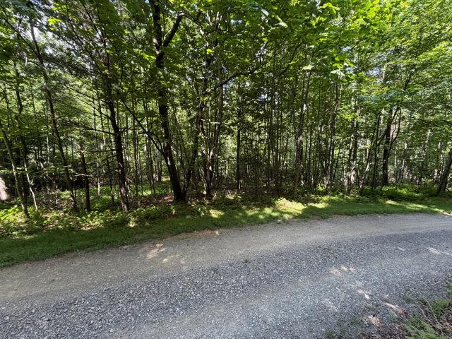 Land for sale in Virginia