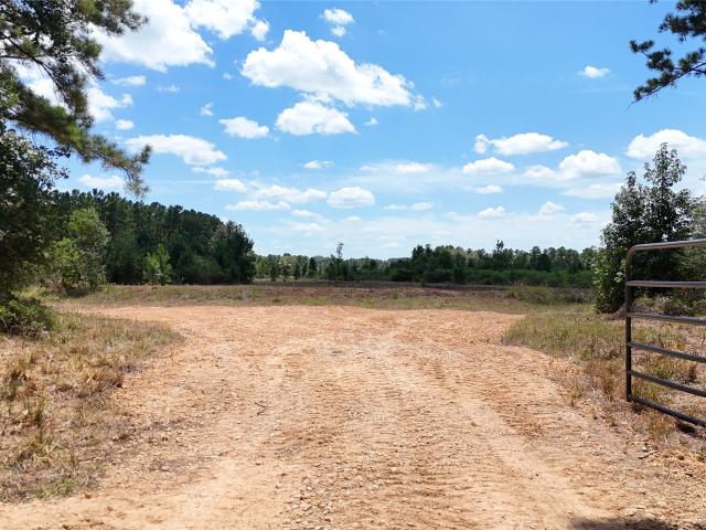 Land for sale in Polk, Texas