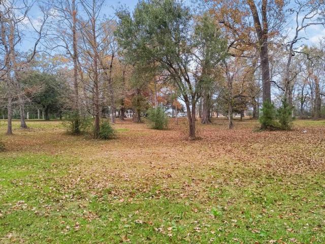 Land for sale in Sunset, Louisiana