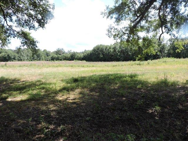 Land for sale in Ark