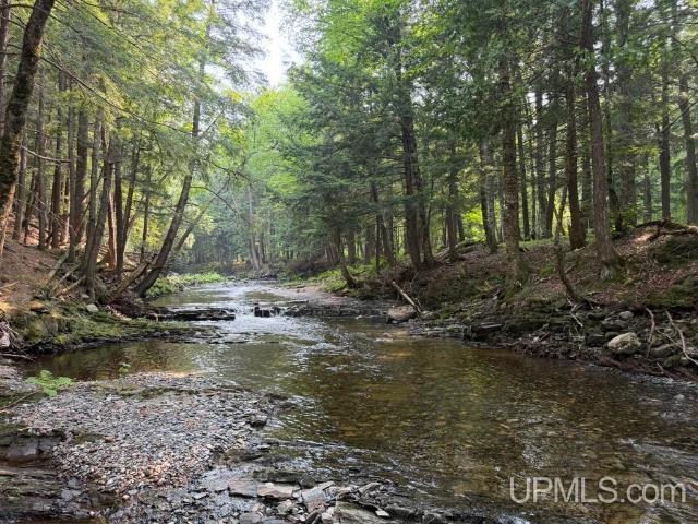 Land for sale in Michigan