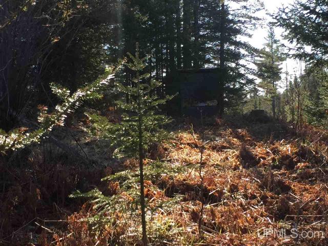Land for sale in Michigan