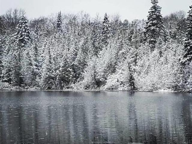 Land for sale in Newberry, Michigan