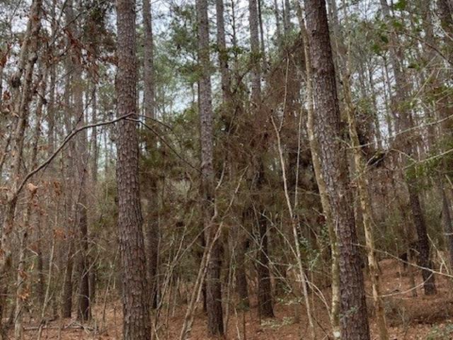 Land for sale in Colmesneil, Texas