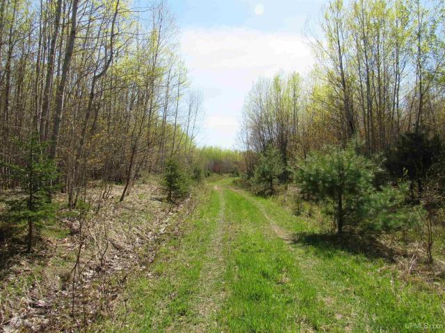 Land for sale in Houghton, Michigan