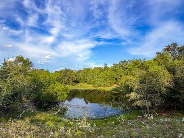 Land for sale in Brenham, Washington County
