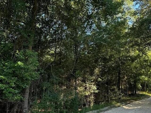 Land for sale in Barnwell