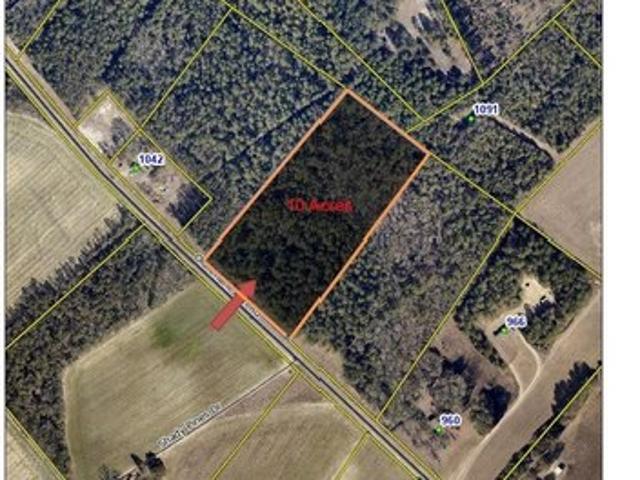 Land for sale in Pelion, South Carolina