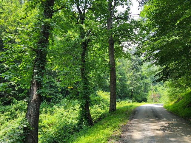 Land for sale in Virginia