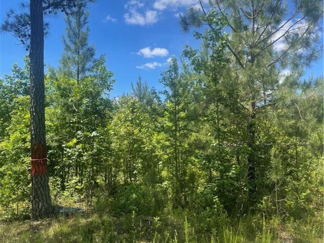 Land for sale in Virginia