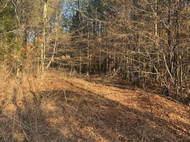 Land for sale in Ark