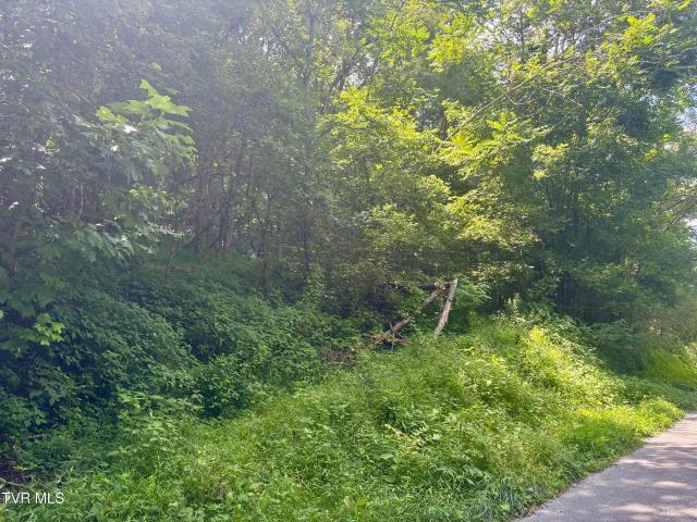 Land for sale in Virginia