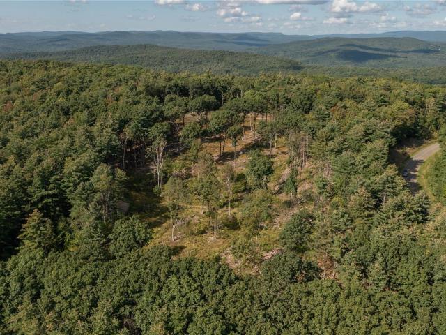 Land for sale in Town of Canaan, Columbia County