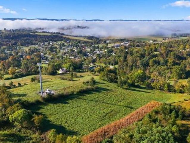 Land for sale in Jonesville, Lee County