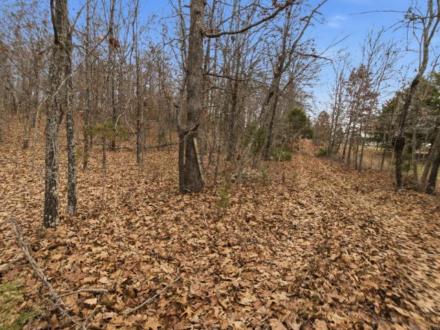 Land for sale in Birch Tree, Shannon County