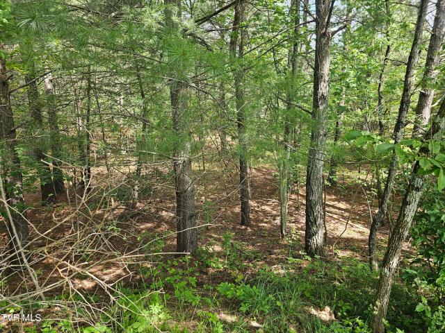 Land for sale in Virginia