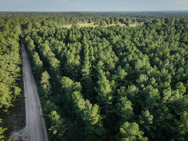 Land for sale in Groveton, Texas