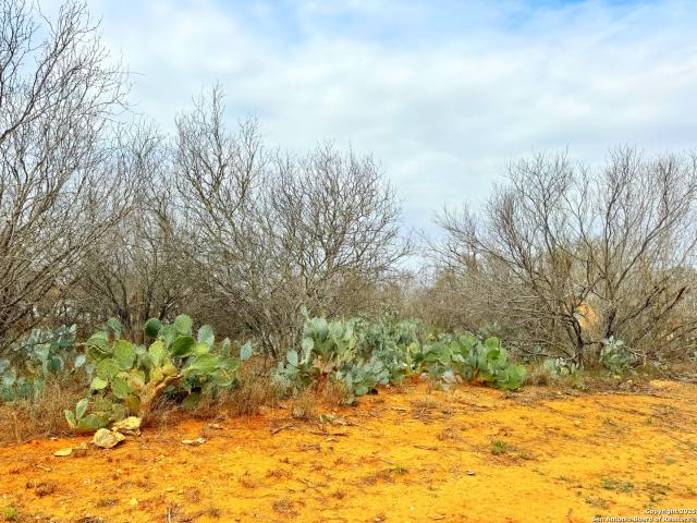 Land for sale in Moore, Texas