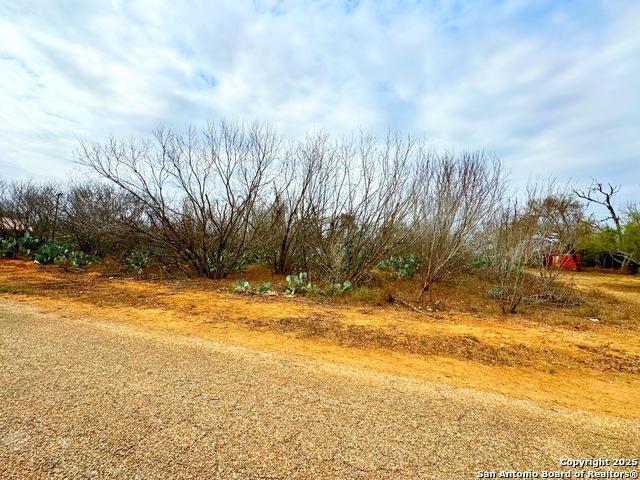 Land for sale in Moore, Texas