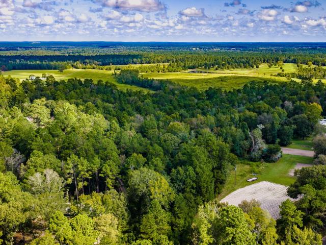 Land for sale in Polk, Texas