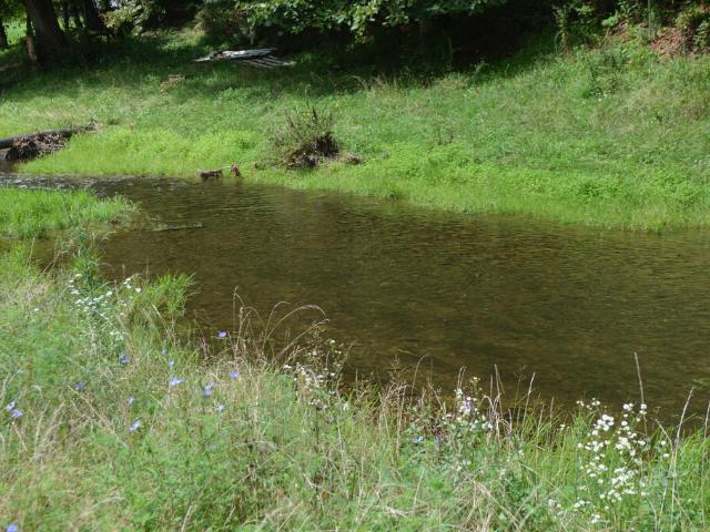 Land for sale in Virginia