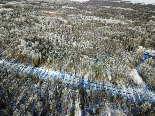 Land for sale in Beltrami, Minnesota