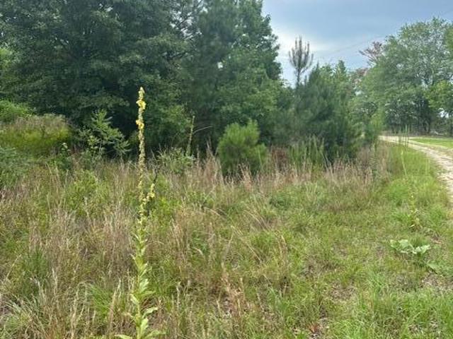 Land for sale in Ellerbe, North Carolina