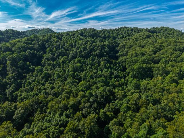 Land for sale in Virginia