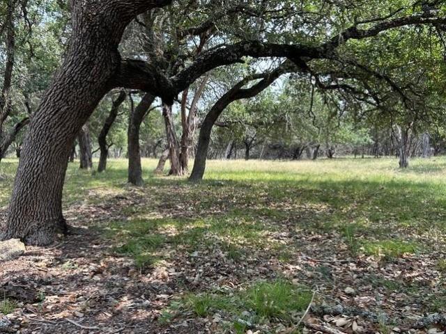 Land for sale in Hays, Texas