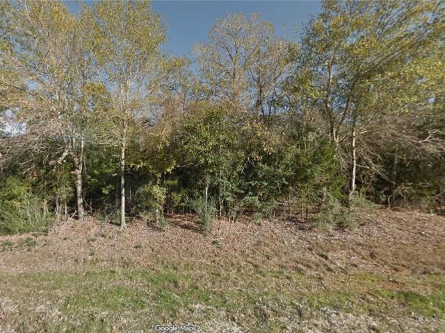 Land for sale in Bryan, Texas