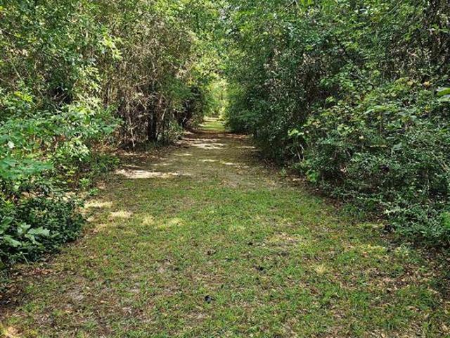 Land for sale in Starks, Louisiana