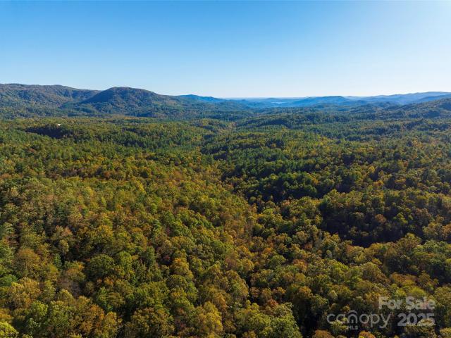 Land for sale in Transylvania, North Carolina