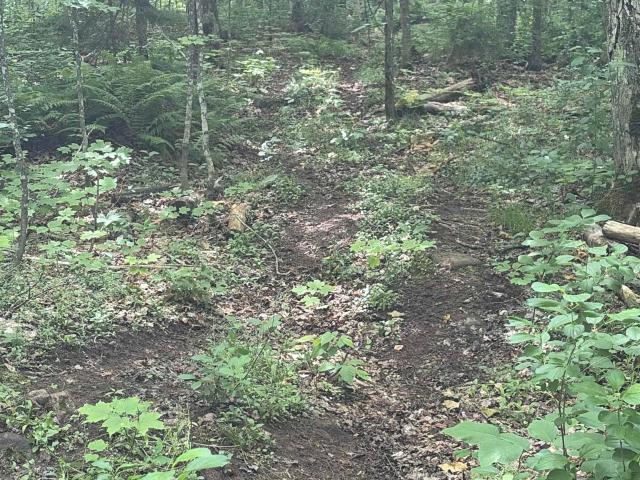 Land for sale in Wakefield, Michigan