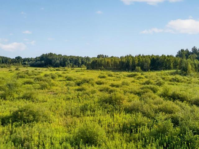Land for sale in Dell Grove Township, Pine County