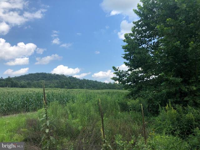 Land for sale in Virginia