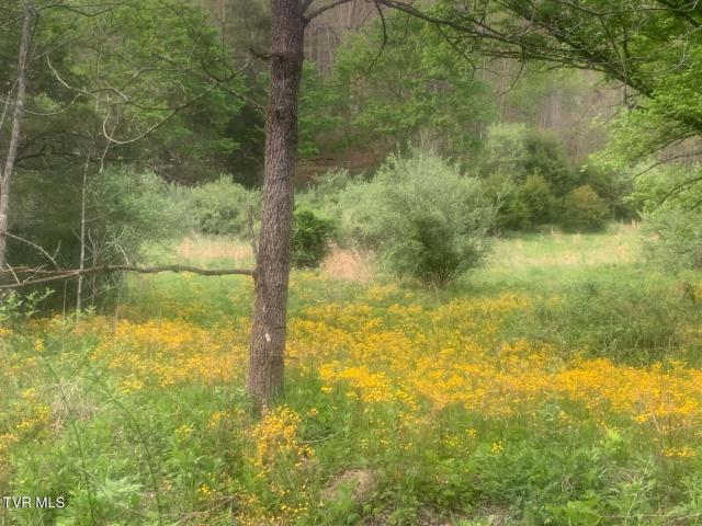 Land for sale in Virginia