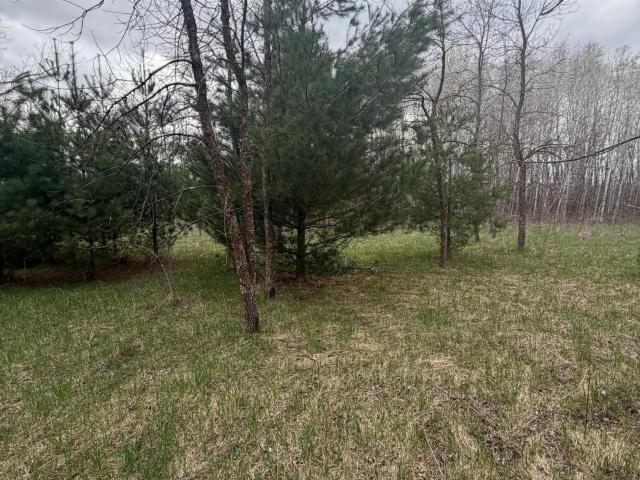 Land for sale in Todd, Minnesota