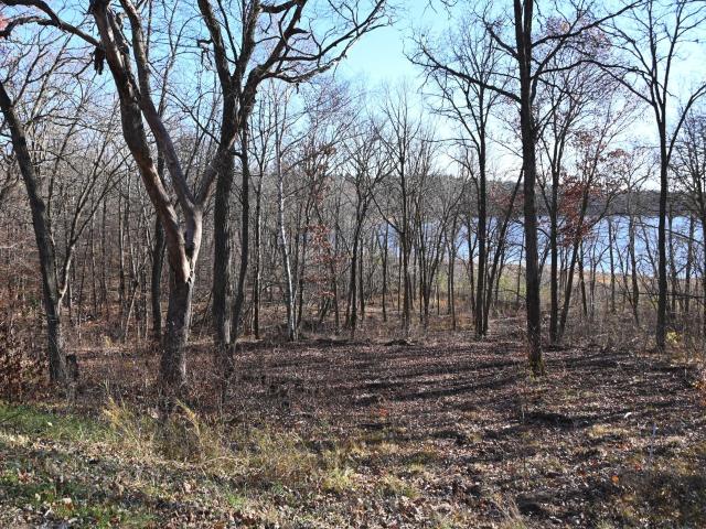 Land for sale in Todd, Minnesota