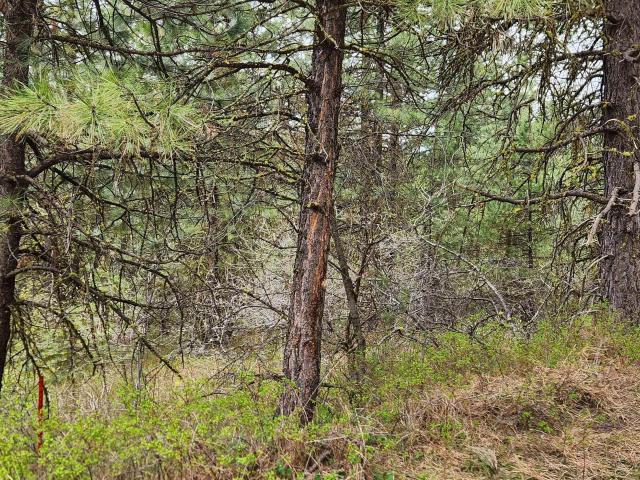 Land for sale in Idaho