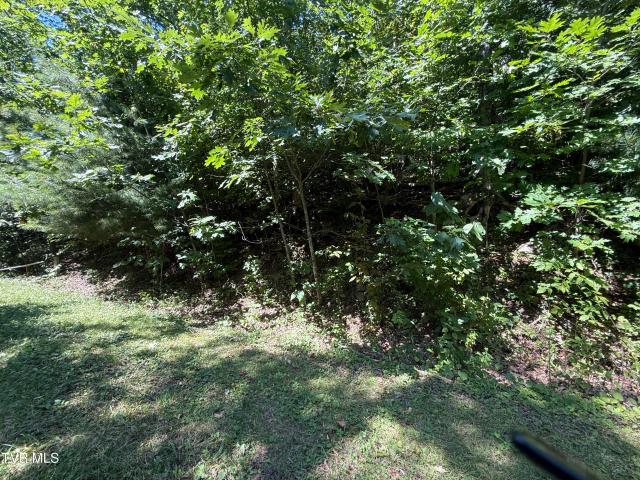 Land for sale in Tennessee