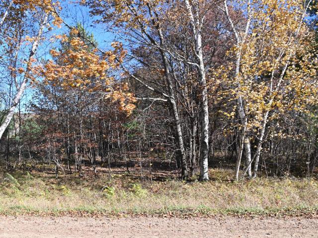 Land for sale in Browerville, Todd County