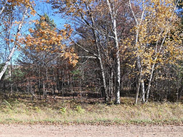 Land for sale in Todd, Minnesota
