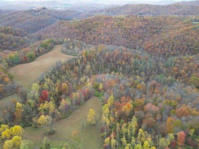 Land for sale in Frametown, West Virginia