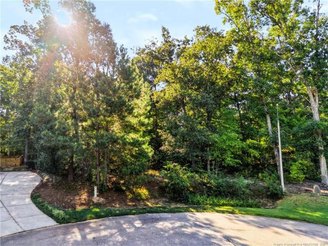 Land for sale in Sanford, Lee County