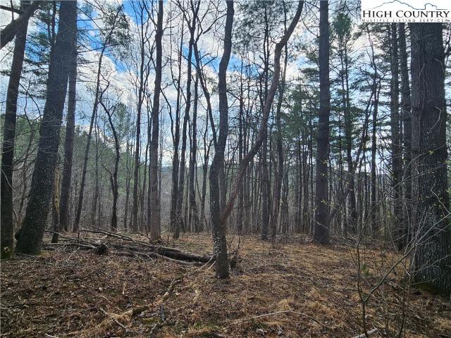 Land for sale in Todd, North Carolina