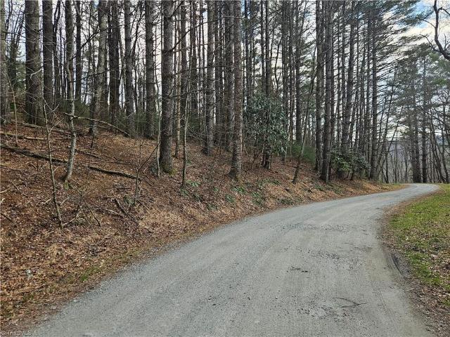 Land for sale in Todd, North Carolina