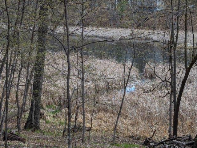 Land for sale in Todd, Minnesota